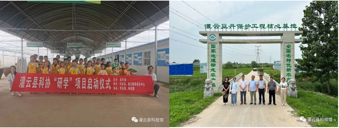 兴农季3.png