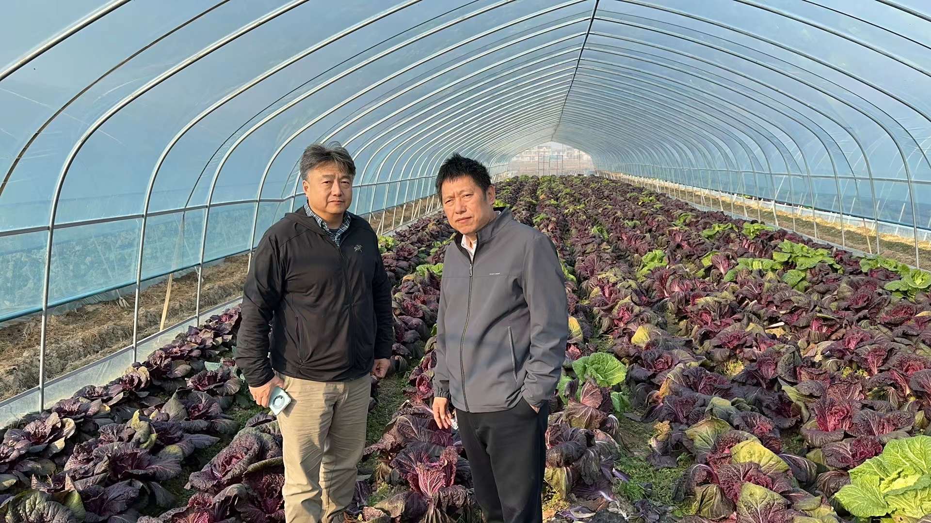 2 第三段之后.jpg