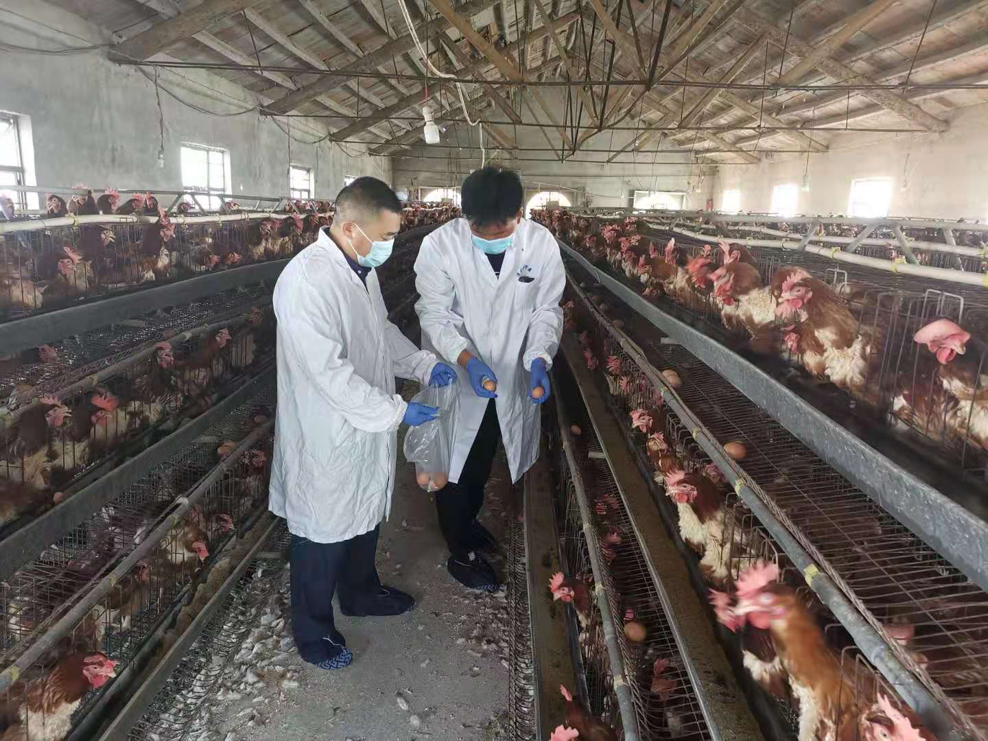 微信图片_20210813153408.jpg