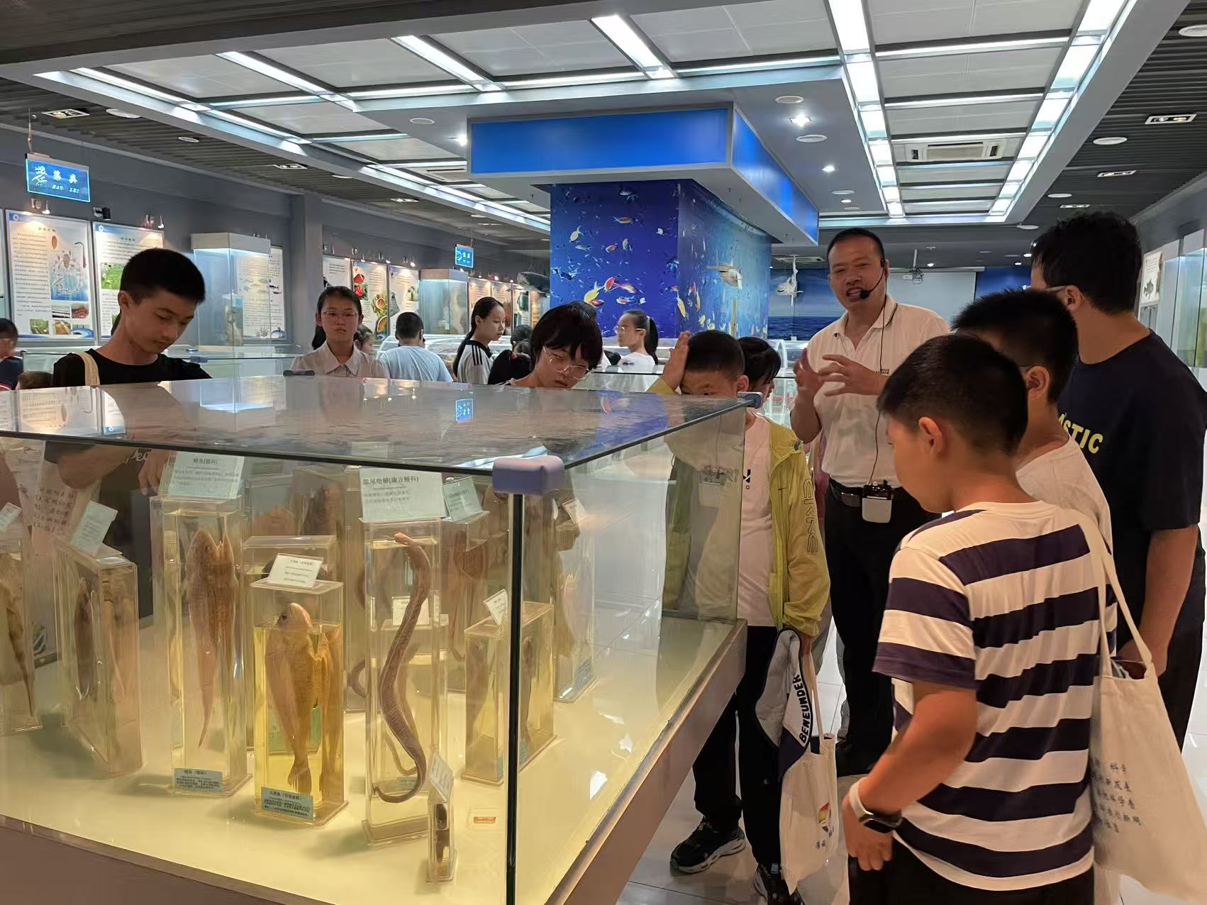 微信图片_2026-08-17_155659_976.jpg