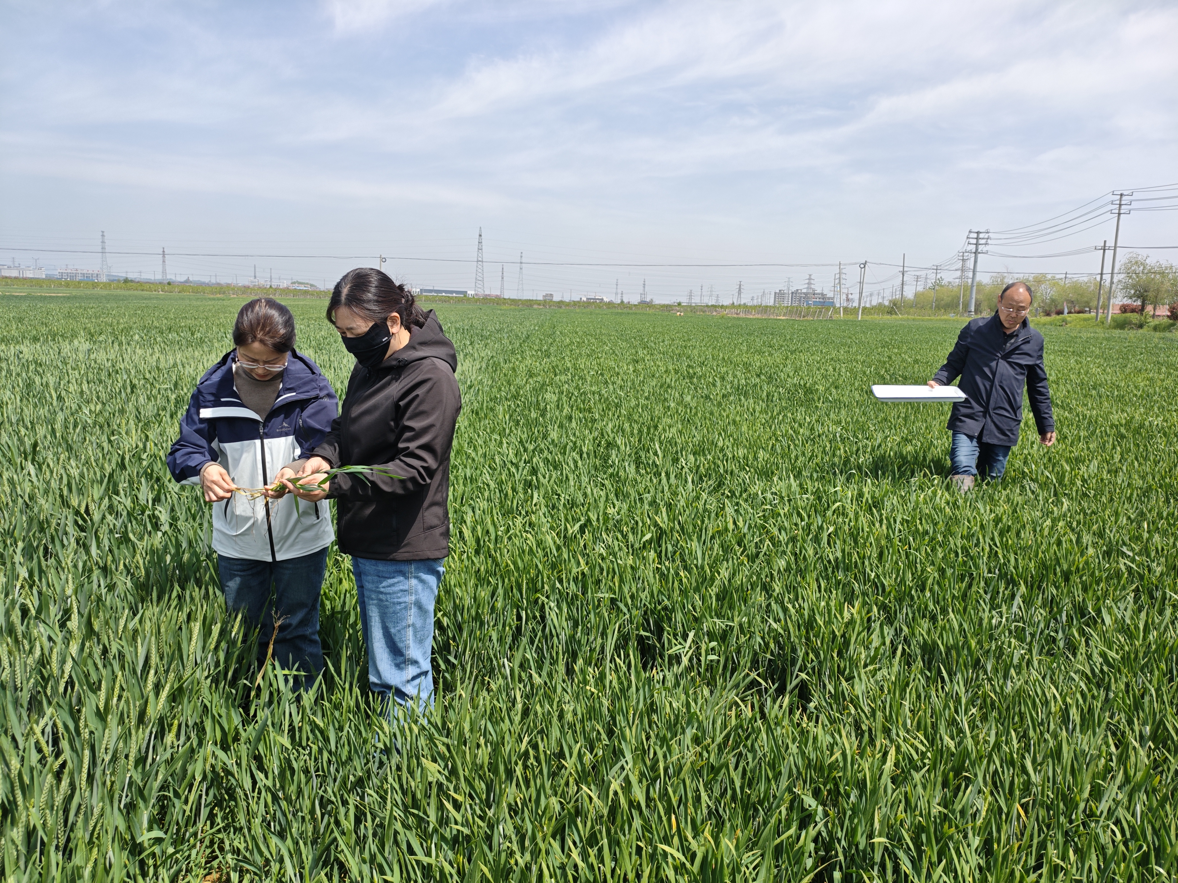 2 第二段之后 01.jpg