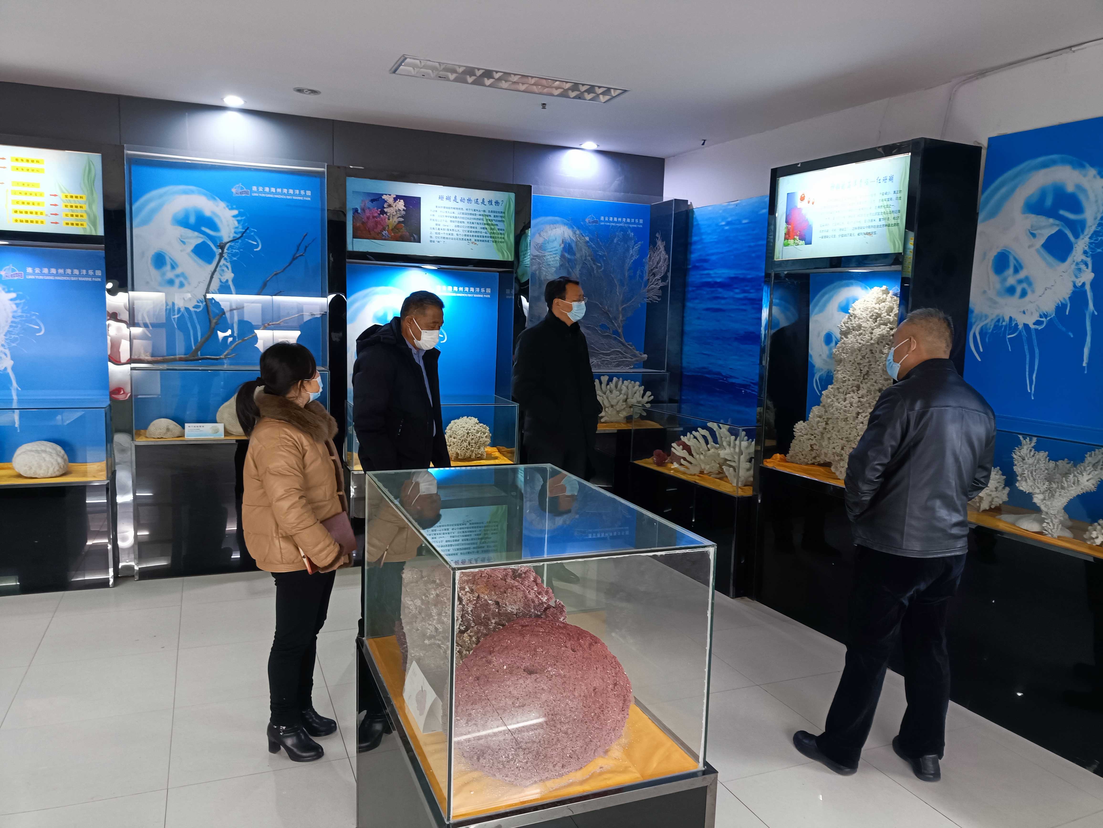 02 放在第三段之后海州湾海洋乐园301.jpg