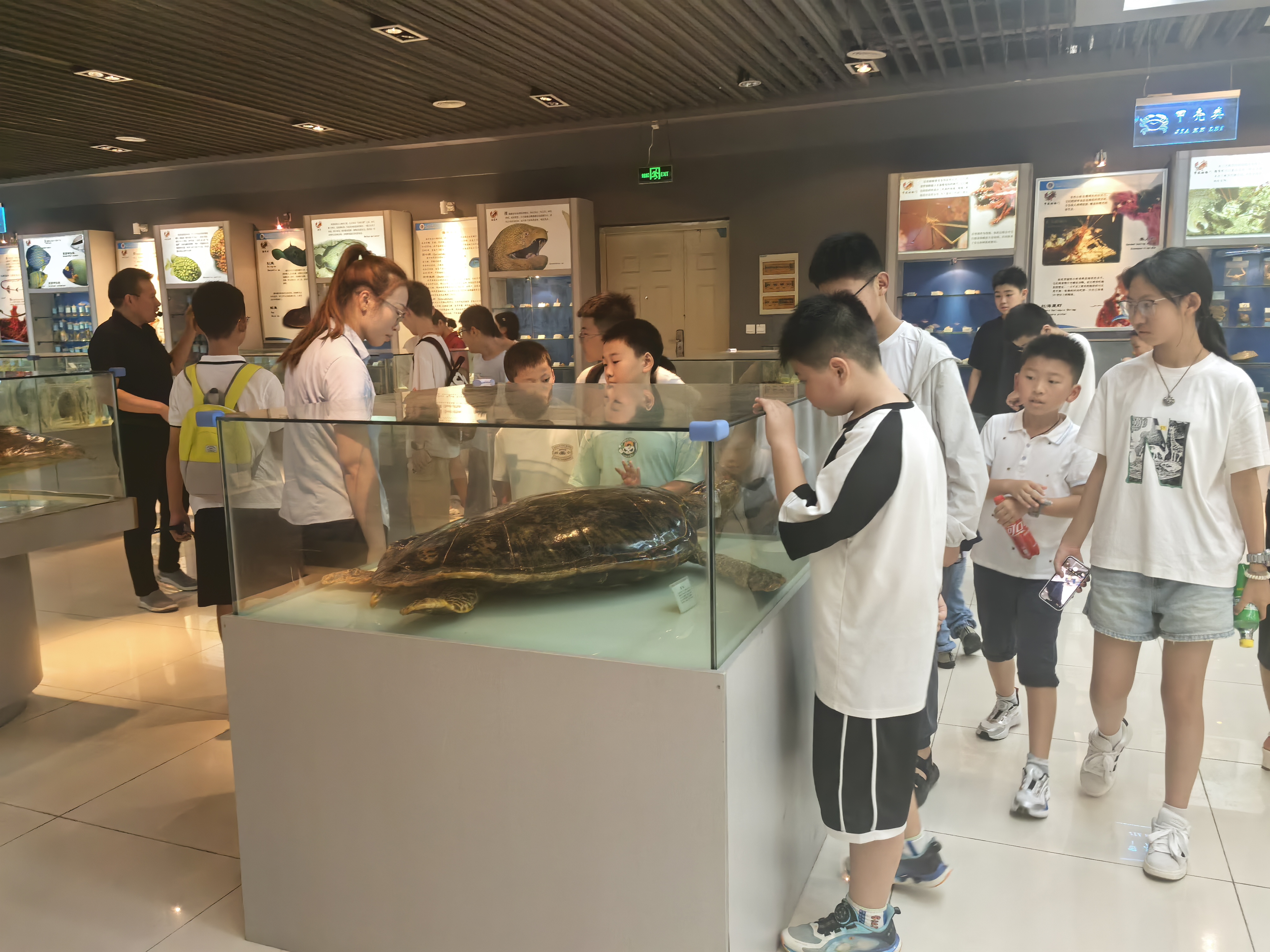 微信图片_2025-08-15_171819_540.jpg