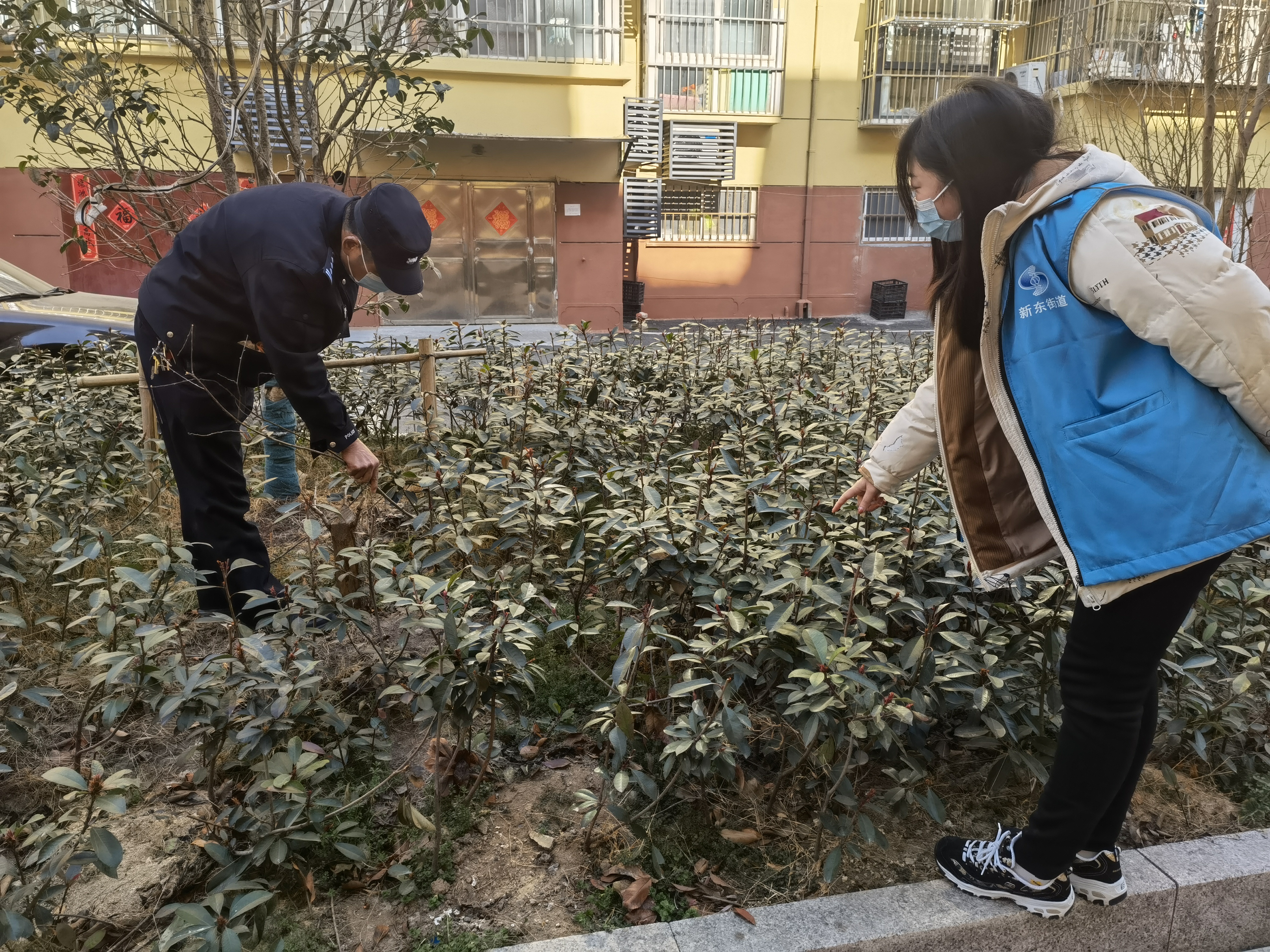 艺北社区科协开展禁种铲毒科普宣传活动 (1).jpg