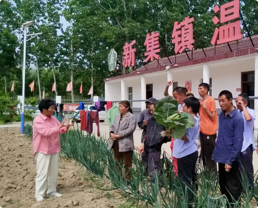 局部截取_20260527_175134.png