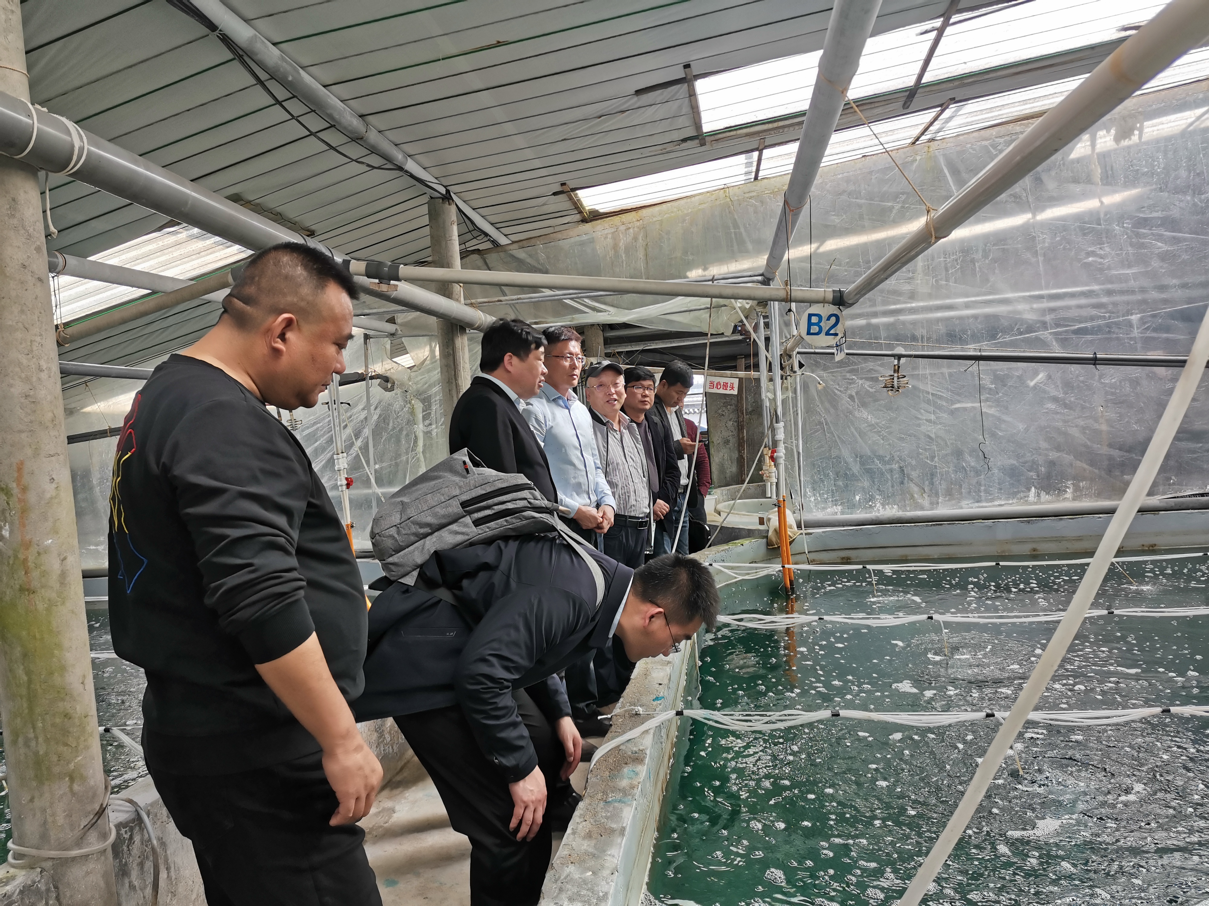 2 第二段之后02深入宝源生物养殖车间2002.jpg