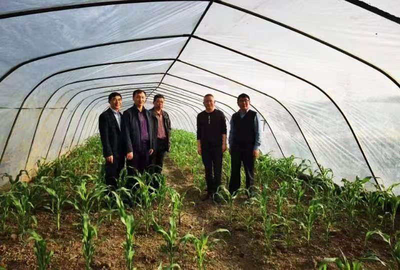 微信图片_20240419094753.jpg