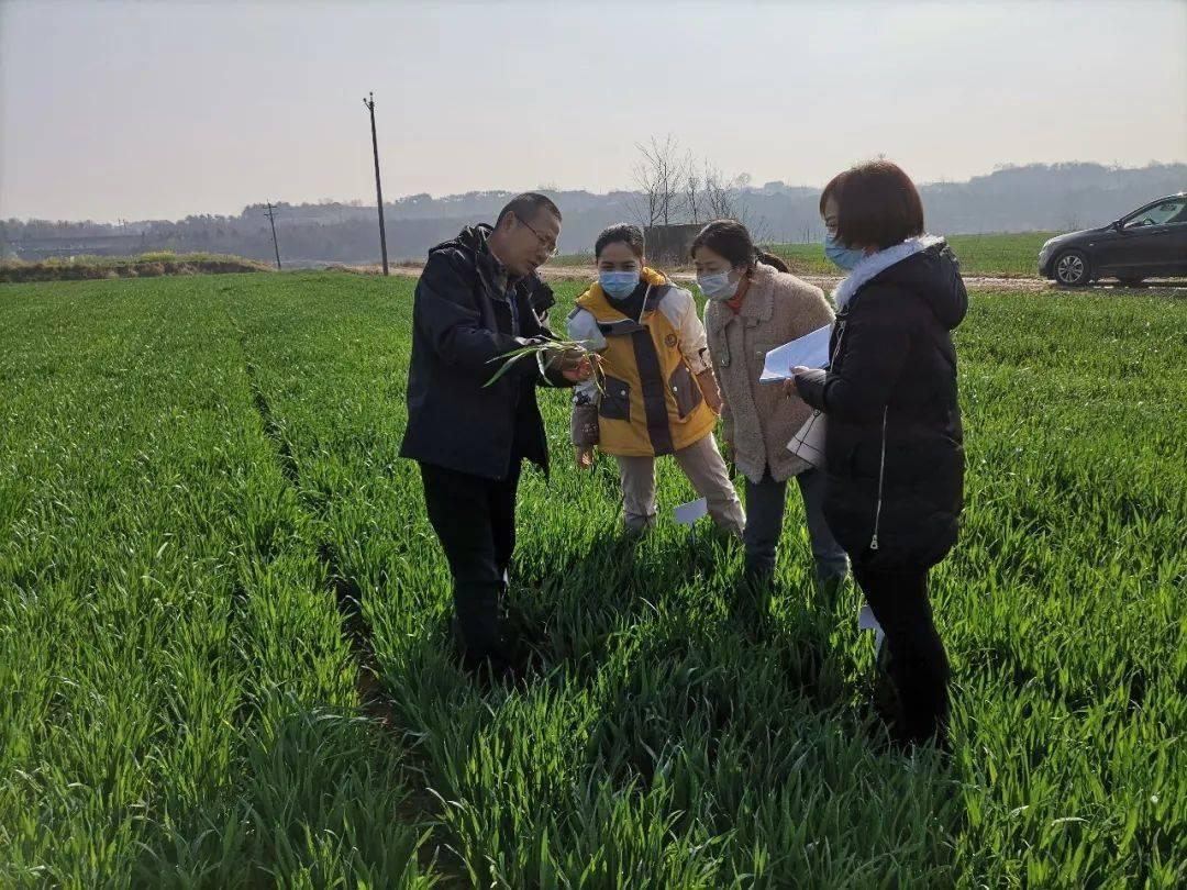 灌南县张店镇科协开展科普惠民 乡村行活动图2.png